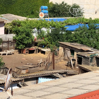 фото из отзыва ID 2185396