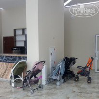 фото из отзыва ID 2185432