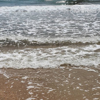 фото из отзыва ID 2185521