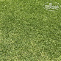 фото из отзыва ID 2185534