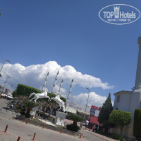 фото из отзыва ID 2185561