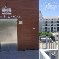 фото из отзыва ID 2185561