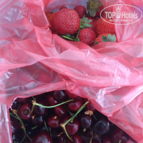 фото из отзыва ID 2185561