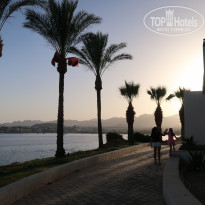 фото из отзыва ID 2185653