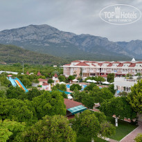 фото из отзыва ID 2185704