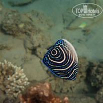 фото из отзыва ID 2185653