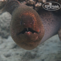 фото из отзыва ID 2185653