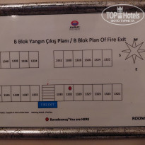 фото из отзыва ID 2185704