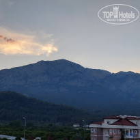 фото из отзыва ID 2185704