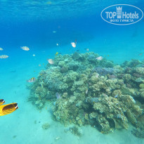 фото из отзыва ID 2185653