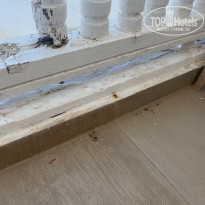 фото из отзыва ID 2185782