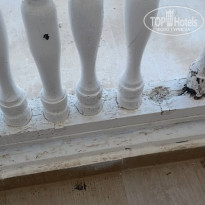 фото из отзыва ID 2185782