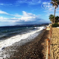 фото из отзыва ID 2185773