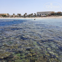 фото из отзыва ID 2185563