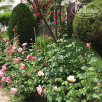 фото из отзыва ID 2185899