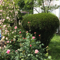 фото из отзыва ID 2185899