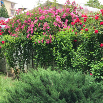 фото из отзыва ID 2185899