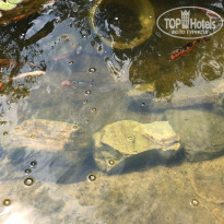 фото из отзыва ID 2185899