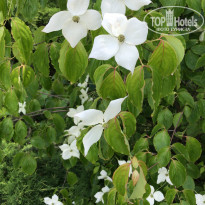 фото из отзыва ID 2185899