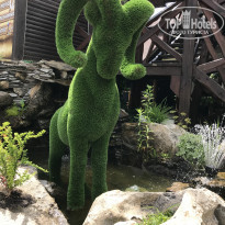 фото из отзыва ID 2185899