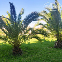 фото из отзыва ID 2185919