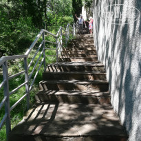 фото из отзыва ID 2185930