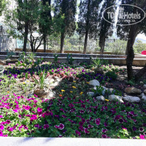 фото из отзыва ID 2185930