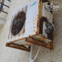 фото из отзыва ID 2185921