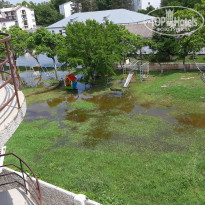 фото из отзыва ID 2185921