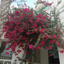 фото из отзыва ID 2185955