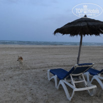 фото из отзыва ID 2185981