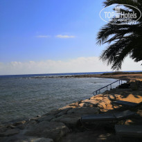 фото из отзыва ID 2186111