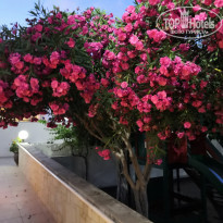 фото из отзыва ID 2186111