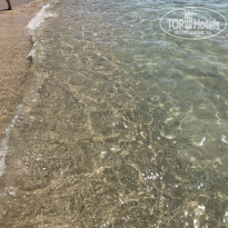 фото из отзыва ID 2186294