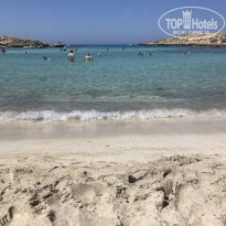 фото из отзыва ID 2186294