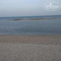 фото из отзыва ID 2186329