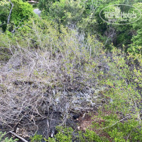 фото из отзыва ID 2186362