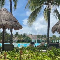 фото из отзыва ID 2186362