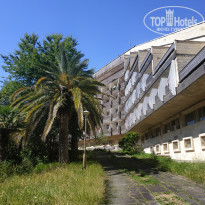 фото из отзыва ID 2186386