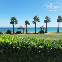 фото из отзыва ID 2186449