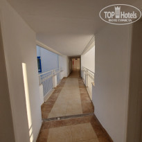 фото из отзыва ID 2186593