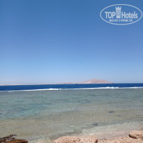 фото из отзыва ID 2186675