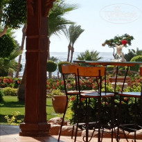 фото из отзыва ID 2186675