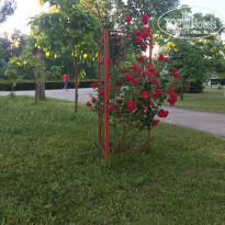 фото из отзыва ID 2186911