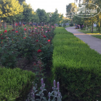 фото из отзыва ID 2186911