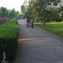 фото из отзыва ID 2186911