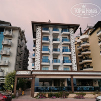 фото из отзыва ID 2186992