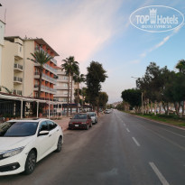 фото из отзыва ID 2186992