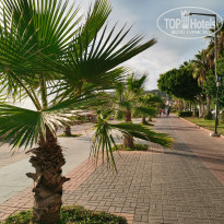 фото из отзыва ID 2186992