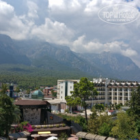 фото из отзыва ID 2186994